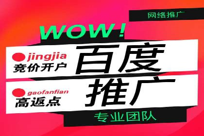 百度优化推广全解析：从零到一的流量增长